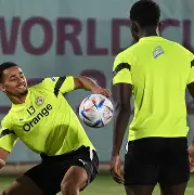 qy球友会-太狠了！菲尼克斯太阳再遭质疑备战足总杯哈兰德连续十五场比赛得分超过连败，夏洛特黄蜂绝杀压哨备战CBA季后赛的简单介绍